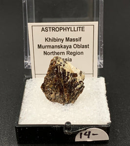 Astrophyllite #4 Thumbnail Specimen (Khibiny Massif, Russia)