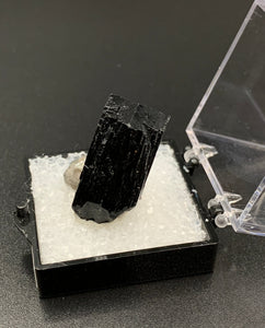 Schorl #1 Quartz Thumbnail Specimen (Karibib, Erongo, Namibia)