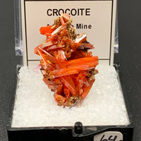Crocoite #9 (Adelaide Mine, Tasmania)