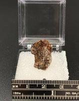 Astrophyllite #8 Thumbnail Specimen (Khibiny Massif, Russia)

