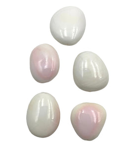 Pink Conch Shell Bead (1) Tumbled Polished Shell