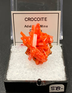 Crocoite #8 (Adelaide Mine, Tasmania)