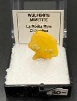 Wulfenite & Mimetite #5 (La Morita Mine, Mexico)
