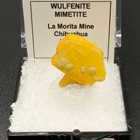 Wulfenite & Mimetite #5 (La Morita Mine, Mexico)