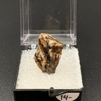 Astrophyllite #2 Thumbnail Specimen (Khibiny Massif, Russia)