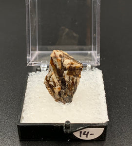 Astrophyllite #2 Thumbnail Specimen (Khibiny Massif, Russia)