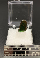 Ammolite #5 Fossil Thumbnail Specimen (Alberta, Canada)
