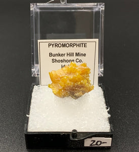 Pyromorphite #5 Thumbnail Specimen (Bunker Hill Mine, Shoshone Co., Idaho)