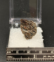 Astrophyllite #1 Thumbnail Specimen (Khibiny Massif, Russia)
