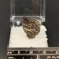 Astrophyllite #1 Thumbnail Specimen (Khibiny Massif, Russia)