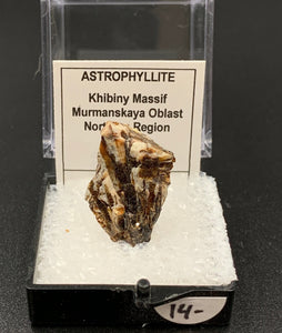 Astrophyllite #2 Thumbnail Specimen (Khibiny Massif, Russia)