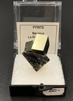 Pyrite #5 Thumbnail Specimen (Navajun, Spain)
