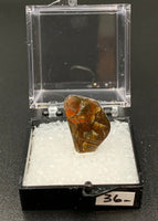 Ammolite #4 Fossil Thumbnail Specimen (Alberta, Canada)
