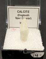 Calcite Dogtooth #4 (India)
