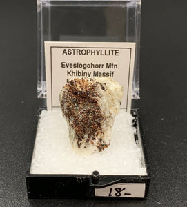 Astrophyllite #7 Thumbnail Specimen (Khibiny Massif, Russia)