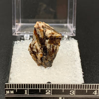 Astrophyllite #2 Thumbnail Specimen (Khibiny Massif, Russia)