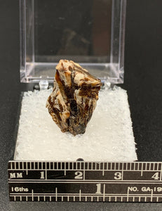 Astrophyllite #2 Thumbnail Specimen (Khibiny Massif, Russia)