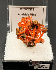 Crocoite #4 (Adelaide Mine, Tasmania)