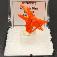 Crocoite #7 (Adelaide Mine, Tasmania)