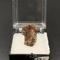 Astrophyllite #8 Thumbnail Specimen (Khibiny Massif, Russia)