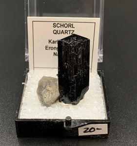 Schorl #1 Quartz Thumbnail Specimen (Karibib, Erongo, Namibia)